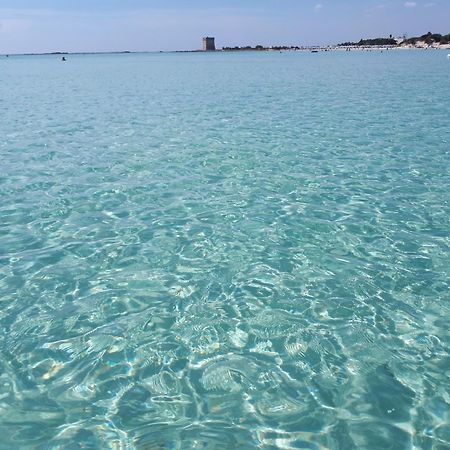 Casa Giada Διαμέρισμα Porto Cesareo Εξωτερικό φωτογραφία
